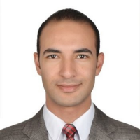 Hossam Youssef Elsafoury